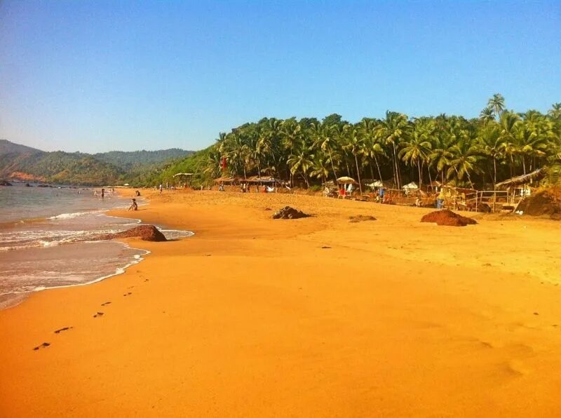 Пляжи северного гоа фото Индия, Гоа 28 400 р. на 11 дней с 05 апреля 2018 Отель: Williams Beach Retreat 2