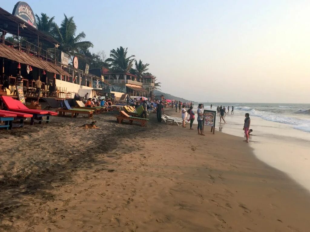 Пляжи северного гоа фото Anjuna Beach, Goa - Mapcarta Goa, Beach, Anjuna