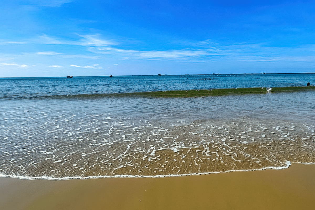 Пляжи сейчас фото Bai Dua Beach - Pineapple Beach (2024 Vietnam) - Travel S Helper