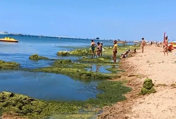 Пляжи в анапе фото и где находятся Что удивило россиян на море в Анапе: фото разлетелись в Сети - СМИ2