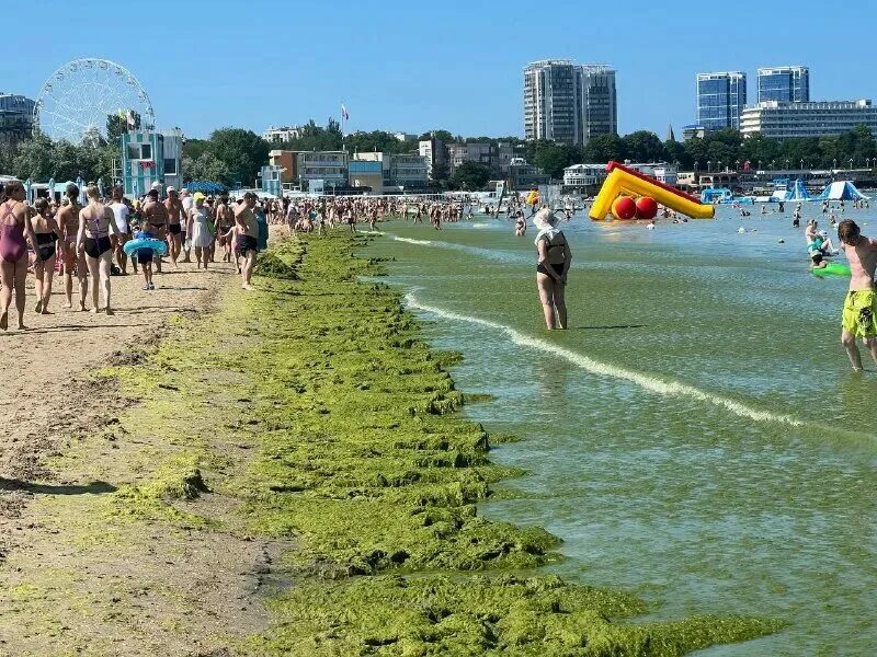 Пляжи в анапе фото и где находятся Проект живи у моря анапа