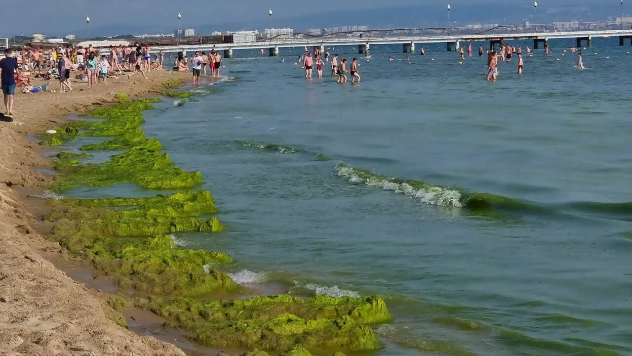 Пляжи в анапе фото и где находятся #АНАПА - ШОК ОТ МОРЯ, ТАК ЛИ ВСЁ ПЛОХО? #ВИТЯЗЕВО ПЛЯЖ ул. МИРА - YouTube
