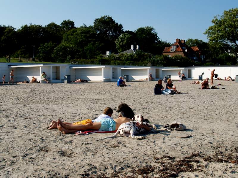 Пляжи в германии женщины фото File:Bellevue Beach cph.jpg - Wikipedia