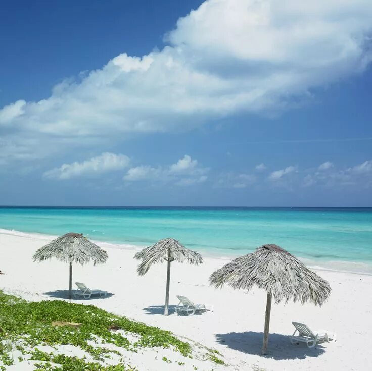 Пляжи варадеро фото Visit Cuba - 5 Things you Must do - Visit cuba, Cuba beaches, Fly to cuba