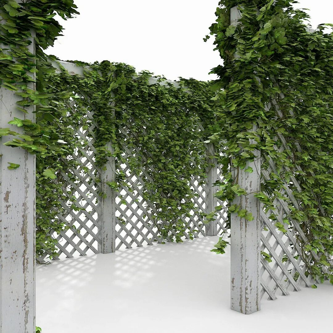 Плющ на заборе фото Wood Garden 3d Max