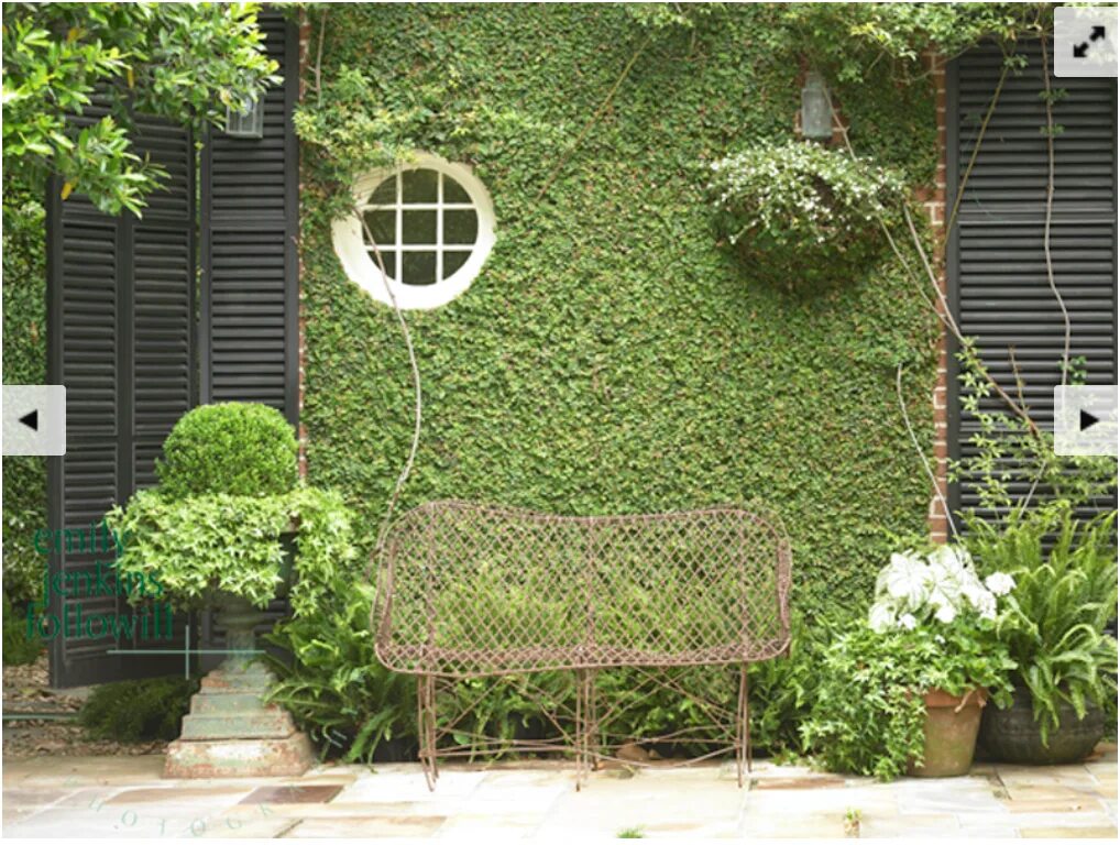 Плющ в интерьере палисадника на даче Garden & Architecture brought together. Wall climbing plants, Backyard, Backyard