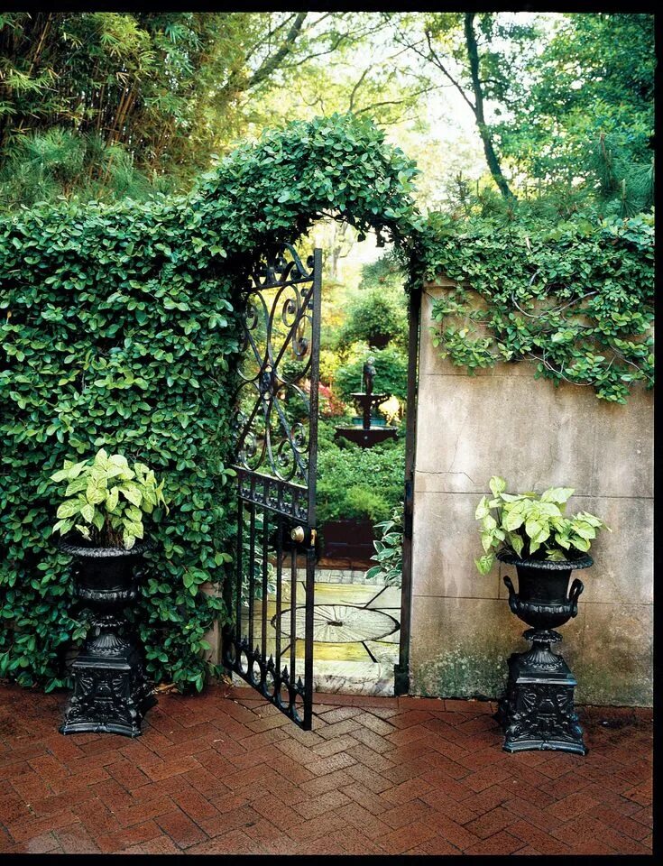 Плющ в интерьере палисадника на даче The Best Restaurants In Savannah, Georgia Garden gate design, Perfect garden, Be