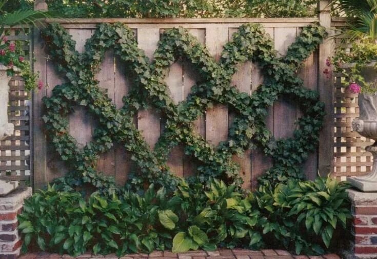 Плющ в интерьере палисадника на даче english ivy gardens - Google Search Garden trellis designs, Garden trellis, Gard