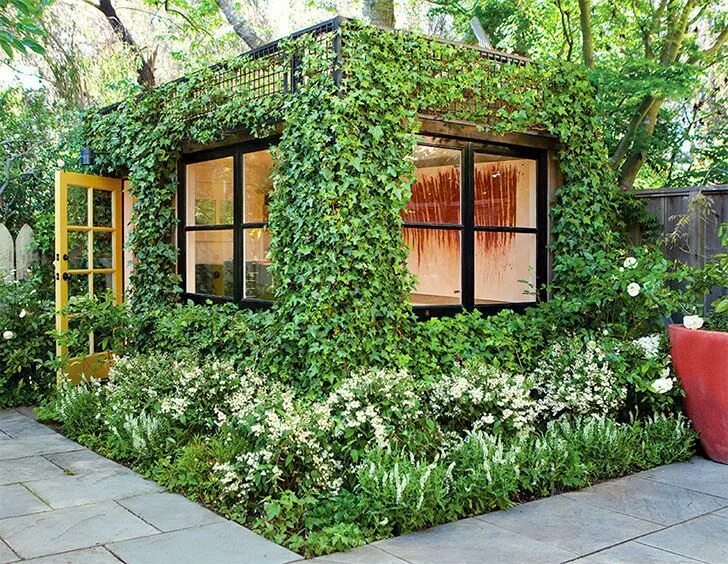 Плющ в интерьере палисадника на даче This lush, green cube is a dream artist's studio hidden in a San Francisco garde