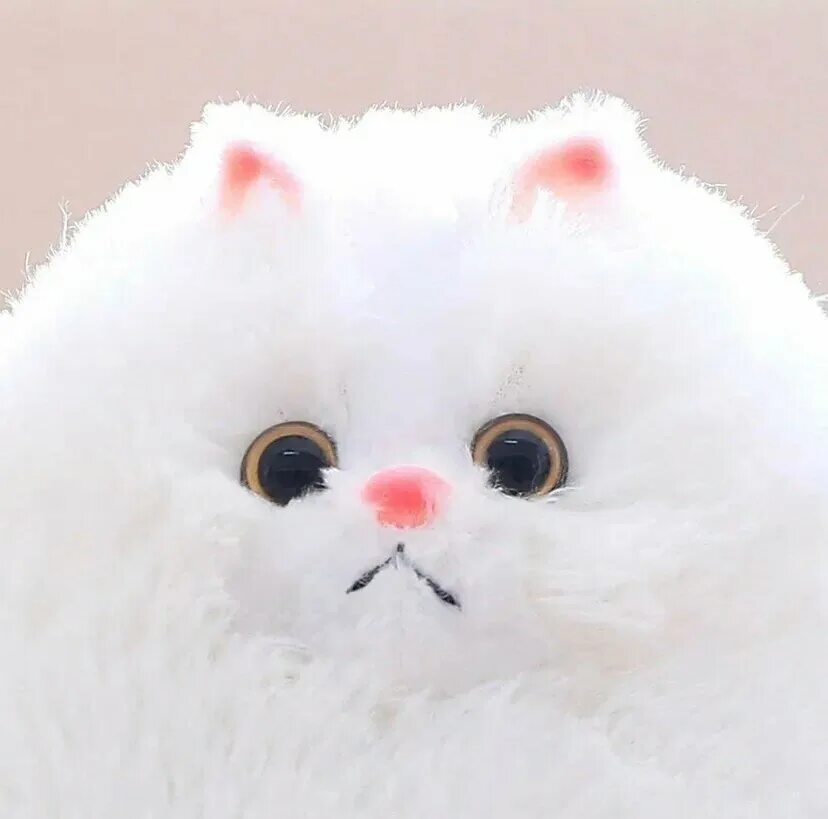 Плюшевые котики фото Мягкая игрушка Кот пушистик белый 30 см/ Кот Беляш - купить в интернет-магазине 