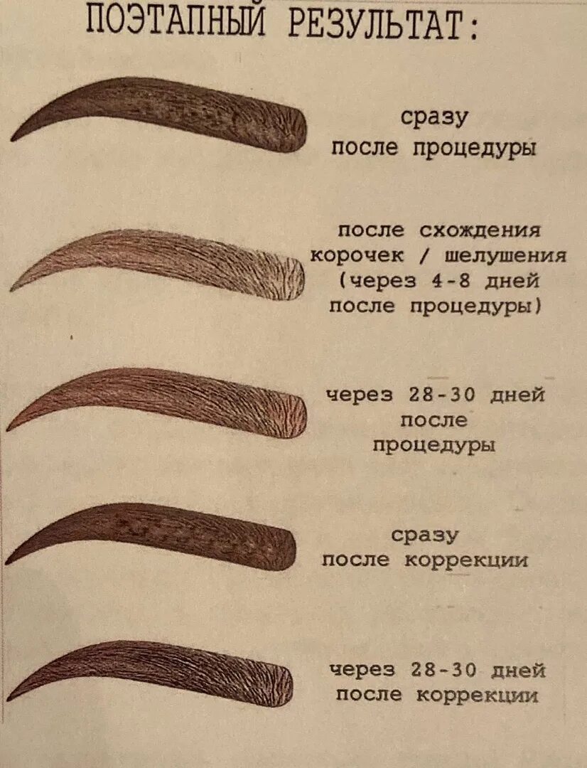 Пм бровей заживление по дням фото Перманентный макияж бровей этапы заживления по дням