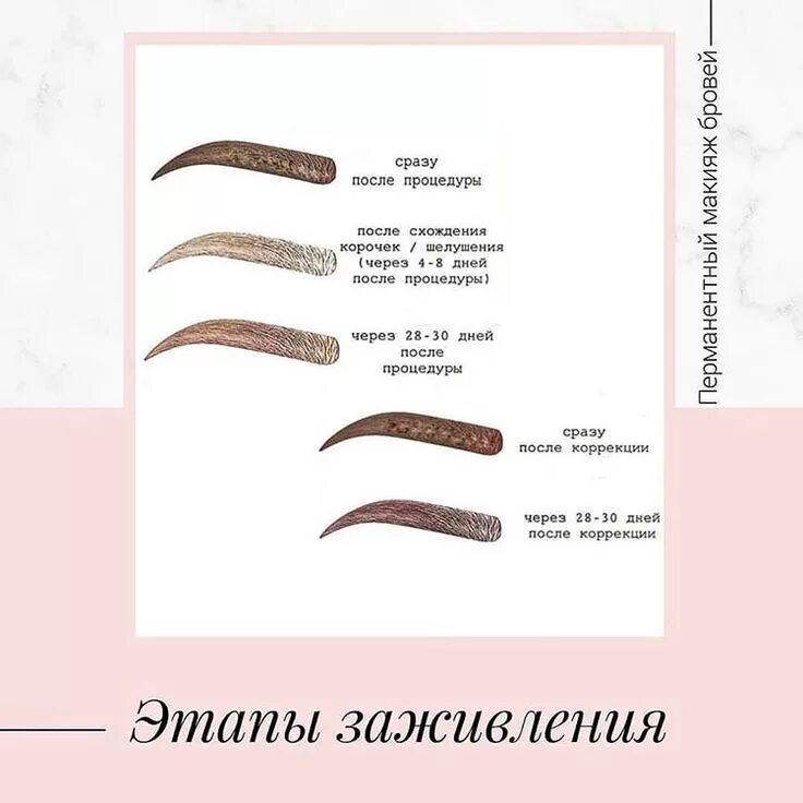Пм бровей заживление по дням фото Перманентный Макияж Москва в Instagram: "Как заживает перманентный макияж бровей
