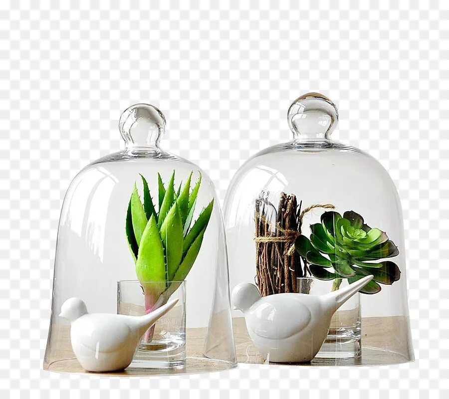 Пнг декор для дома Glass Dome - Decorative Glass Dome with Plants - CleanPNG / KissPNG