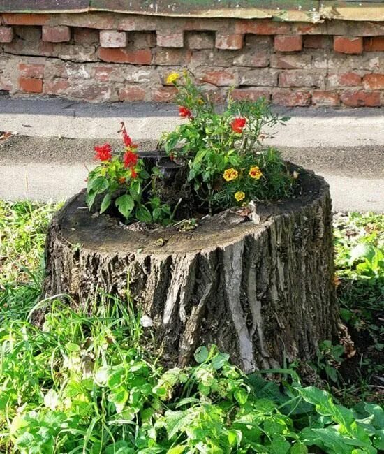 Пни на даче фото Recycling Tree Stumps for Yard Decorations, Removing Tree Stumps Naturally Upcyc