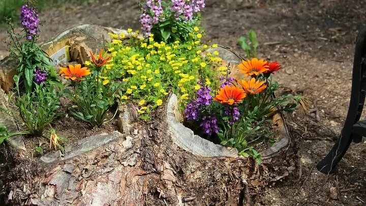 Пни на даче фото на дачном участке сделать своими руками Рукоделие и мода