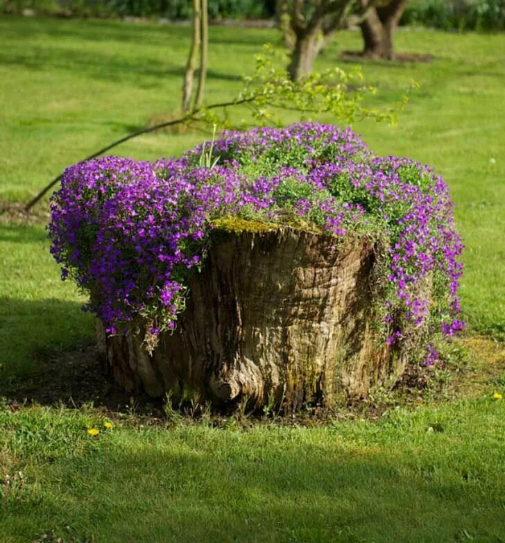 Пни на даче фото Pin on artesania en troncos