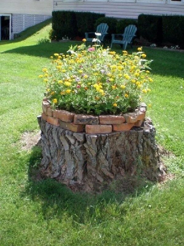 Пни на даче фото Beautiful Tree Stump Planter Ideas for the Garden (12) - MOOLTON #gardendecor Tr