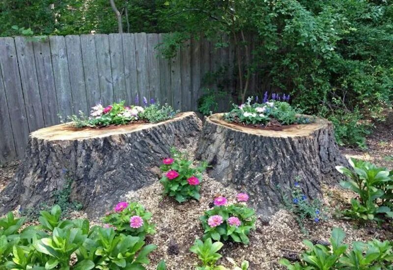 Пни на даче своими руками 15 Amazing Tree Stump to Planter Conversions - Garden Lovers Club Tree stump pla