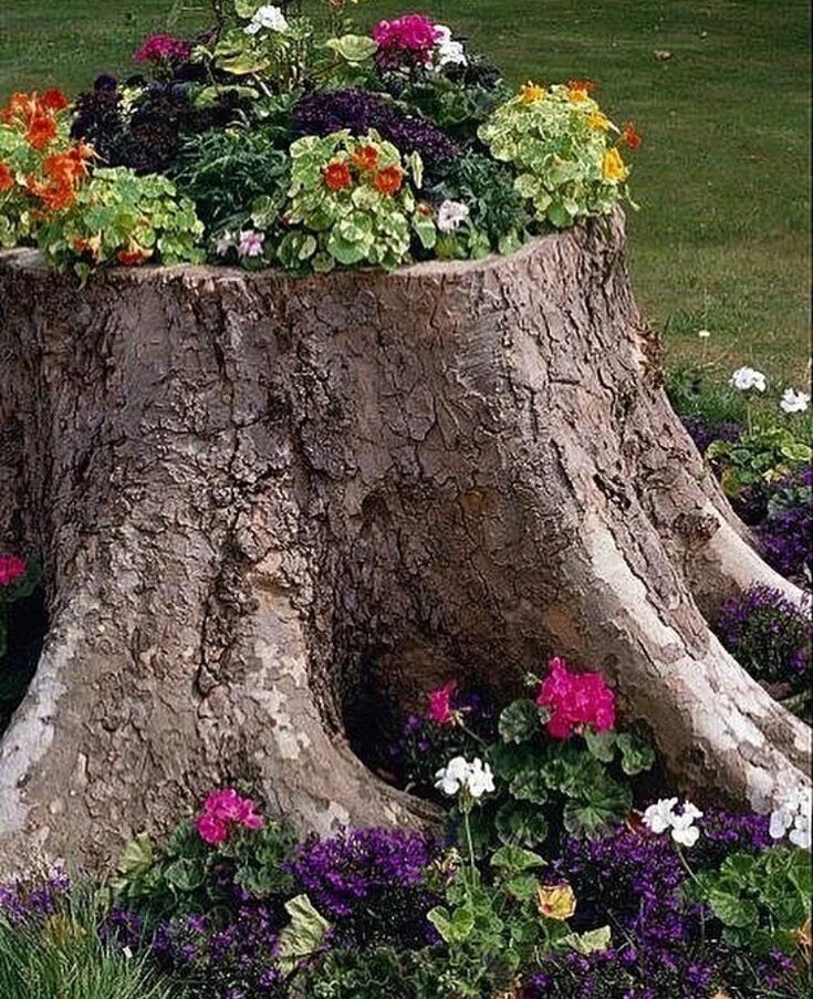 Пни на даче своими руками Pin on Bahçe Upcycle garden, Tree stump planter, Outdoor gardens
