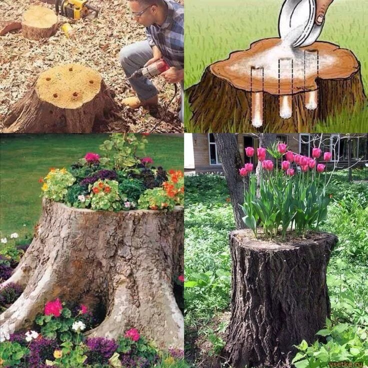 Пни на даче своими руками What to do with with those eye sore tree stumps in your yard. Gardening idea. Tr