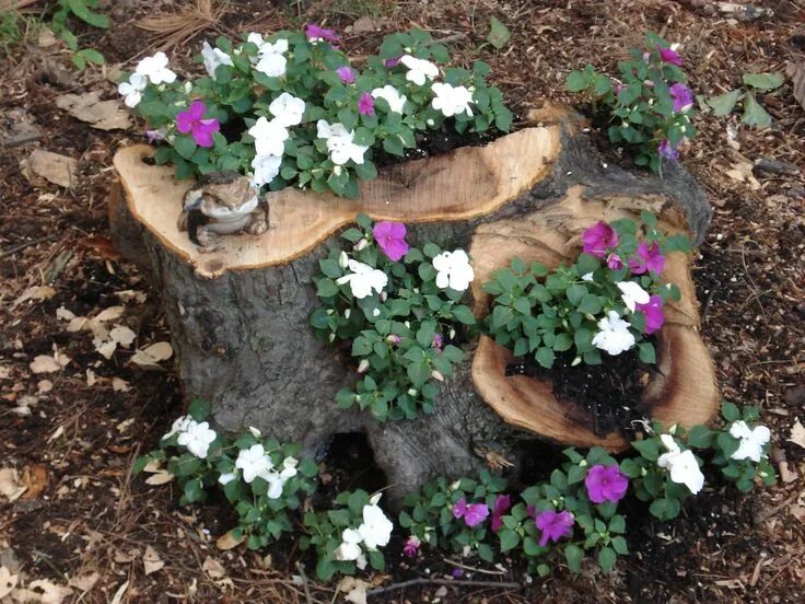 Пни на даче своими руками Try a tree stump planter! Decoración de jardín rústica, Arboles para jardin, Dec