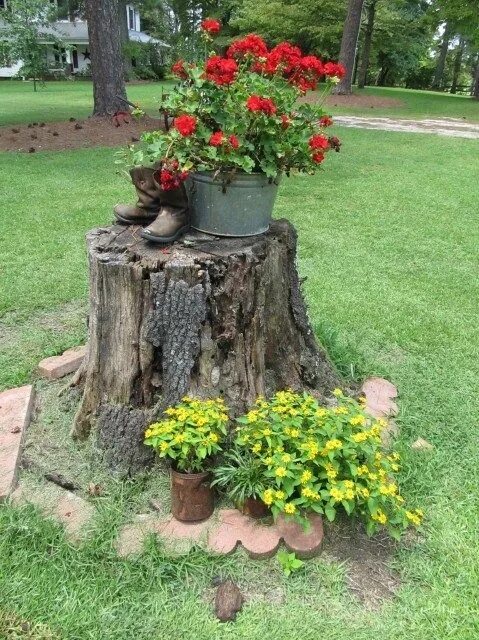 Пни на даче своими руками Awesome DIY Stump Ideas to Enhance Your Yard Tree stump decor, Tree stump plante
