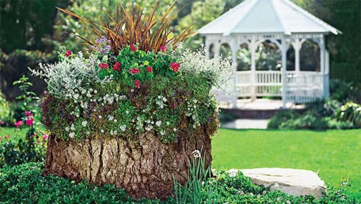 Пни на даче своими руками Из сухого - цветущее дерево Easy garden, Tree stump planter, Container gardening