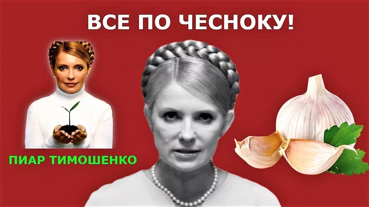 По чесноку смоленская фото Пиар Тимошенко. Все по чесноку! - YouTube