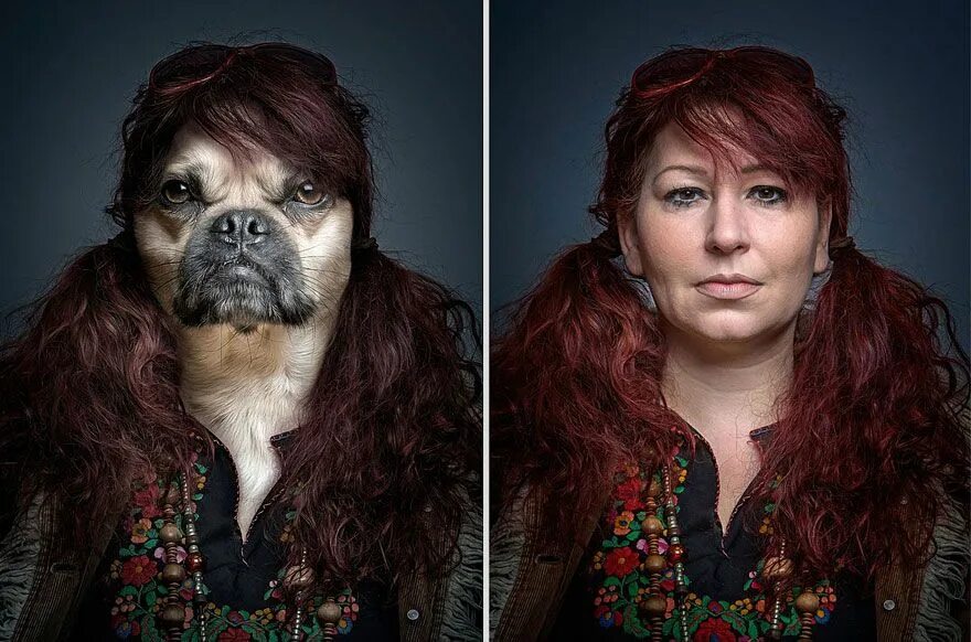 По фото человека определить животное Dogs Dressed As Their Owners by Sebastian Magnani Dog dresses, Pet dress, Portra