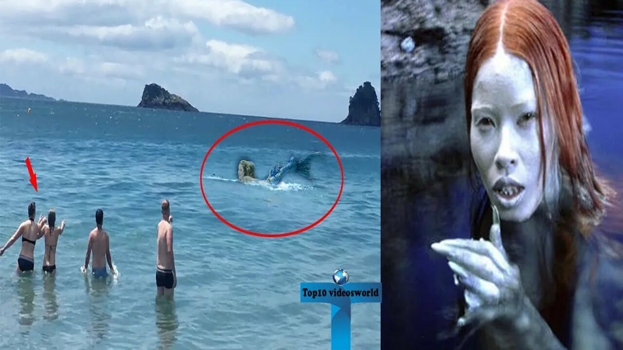 По фото есть варианты Top 10 Unbelievable Real Mermaids Caught On Camera Around the World - YouTube