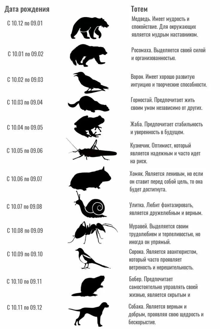По фото определить какое животное Pin by Марина on хитрости для дома in 2024 Witch books, Green witchcraft, Alchem