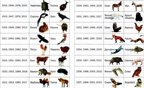 По фото определить какое животное FIND YOUR TOTEAM The Avestan horoscope is considered one of the most accurate. I
