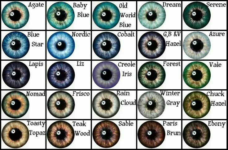 По фото понять какие глаза Pin by Jade Bartell on Writing Tips Eye color chart, Eye color, Writing characte