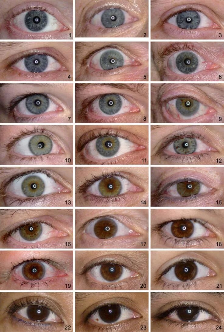 По фото понять какие глаза Grading of Iris Color with an Extended Photographic Reference Set Таблица цветов