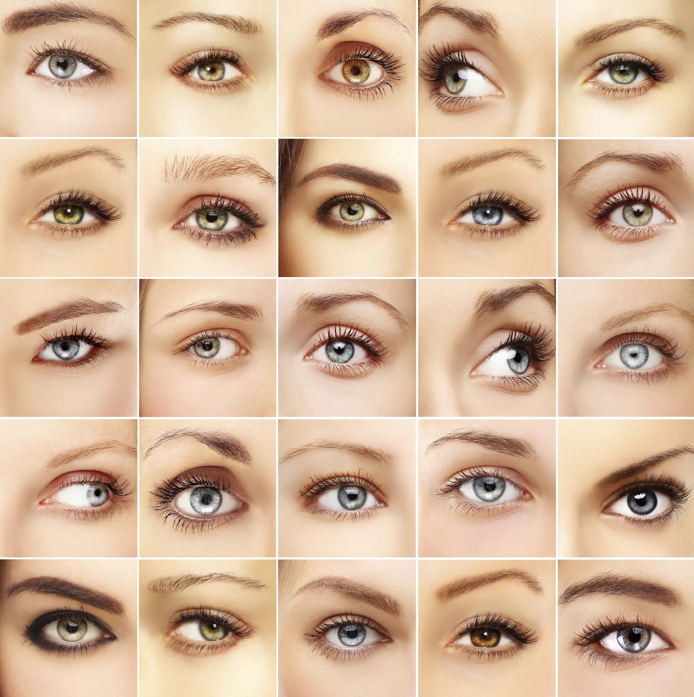По фото понять какие глаза eyes - Discovery Eye Foundation