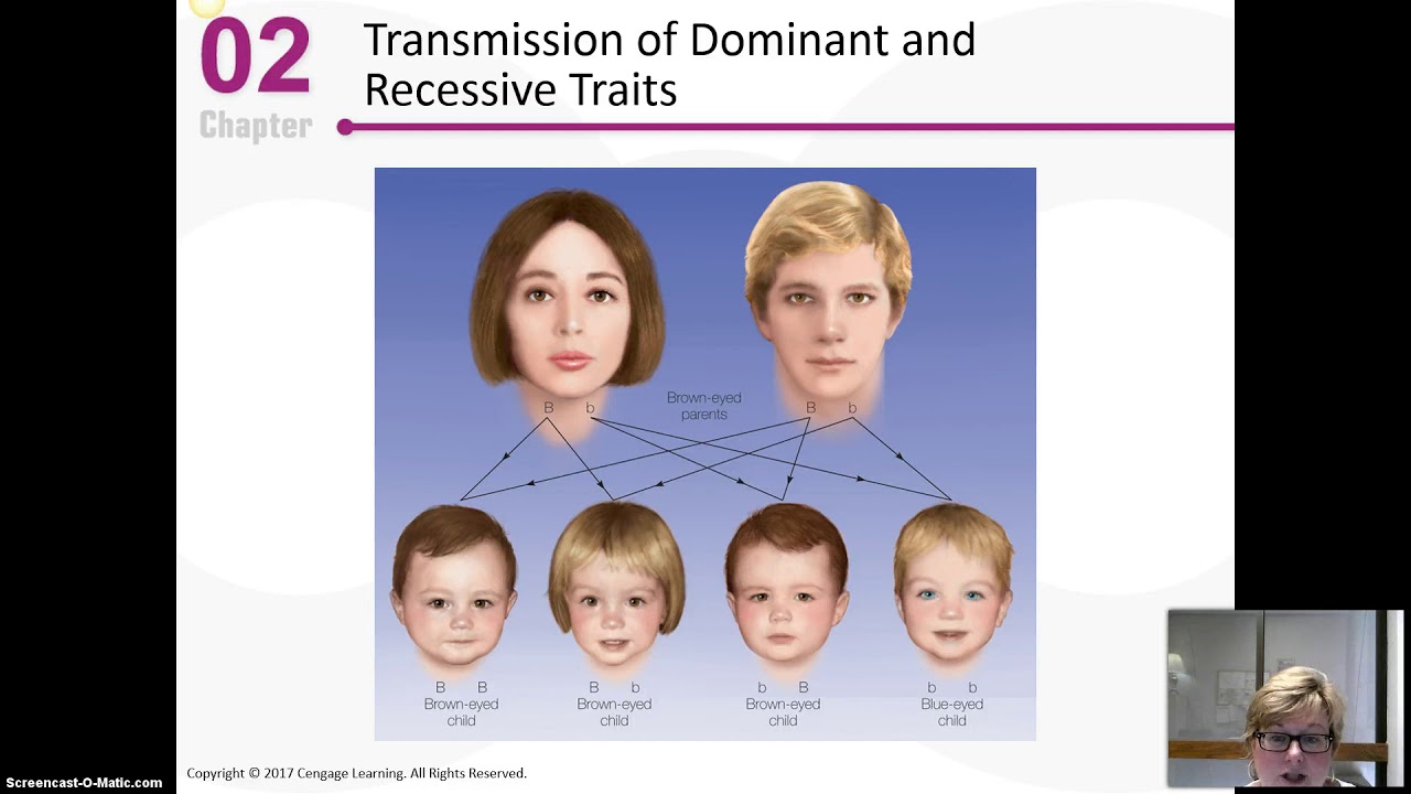 По фото узнать какой будет ребенок бесплатно Chapter 2 Video 3 - YouTube