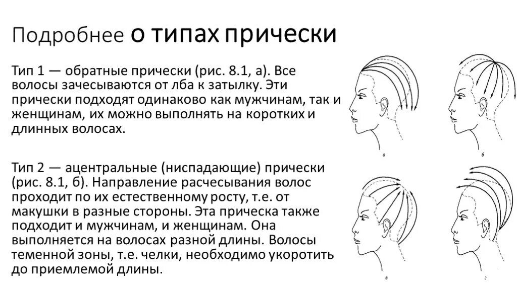 По каким признакам классифицируются прически на виды Прическа: из чего состоит и какие виды бывают