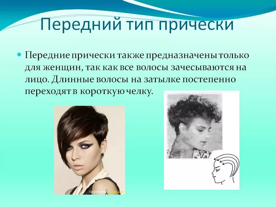 По каким признакам классифицируются прически на виды Прическа: из чего состоит и какие виды бывают