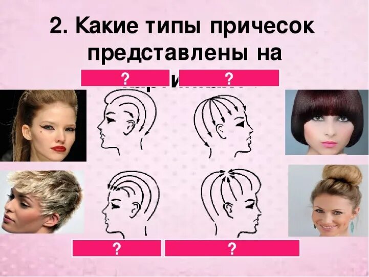 По каким признакам классифицируются прически на виды Прическа: из чего состоит и какие виды бывают
