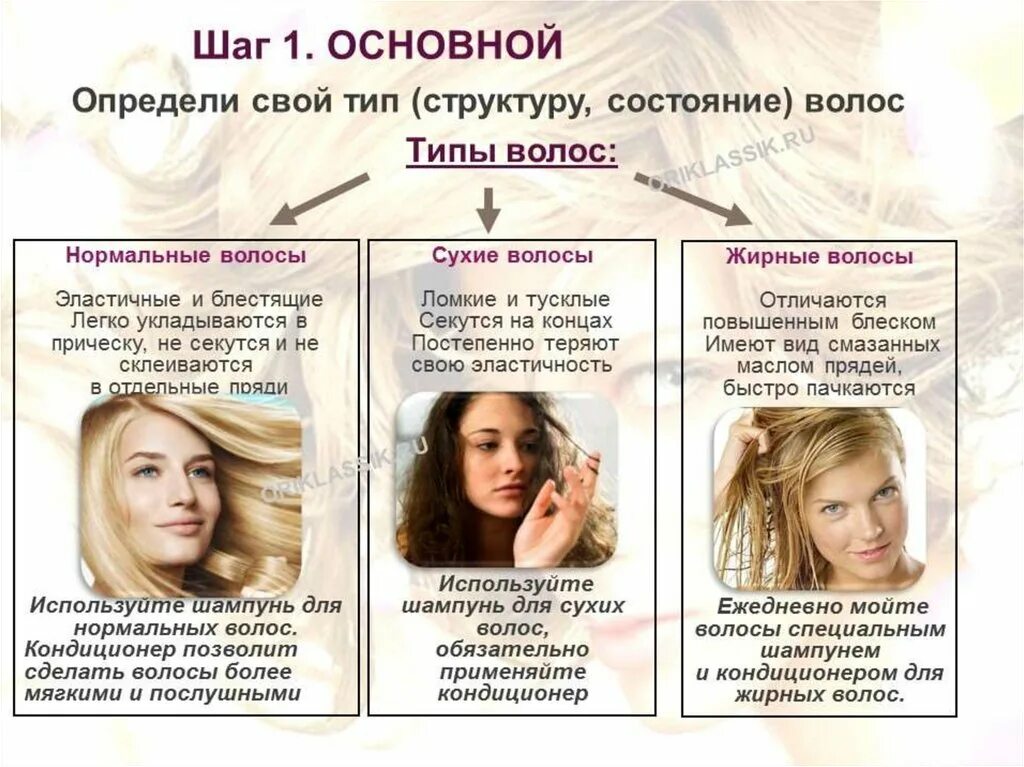 По каким признакам классифицируются прически на виды Как определить волосы