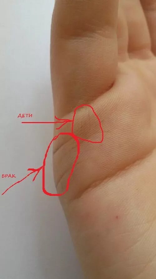 По линии руки онлайн по фото Как по руке понять сколько детей будет