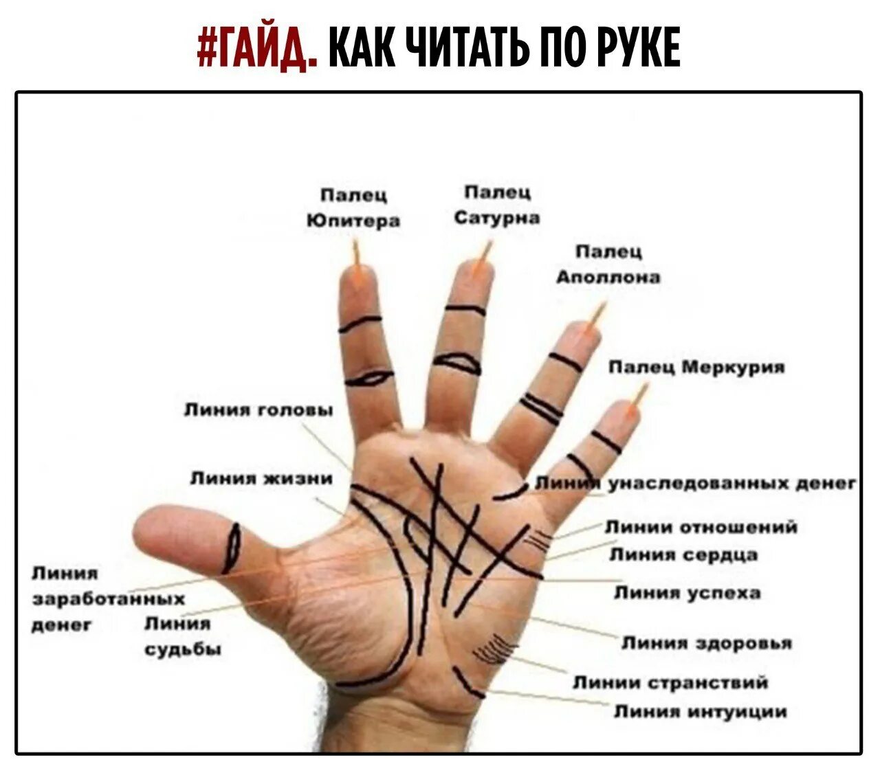 По линии руки онлайн по фото Post #13015 - Гайды на все случаи жизни (AAAAAEwPSku65nETgOrM6g)