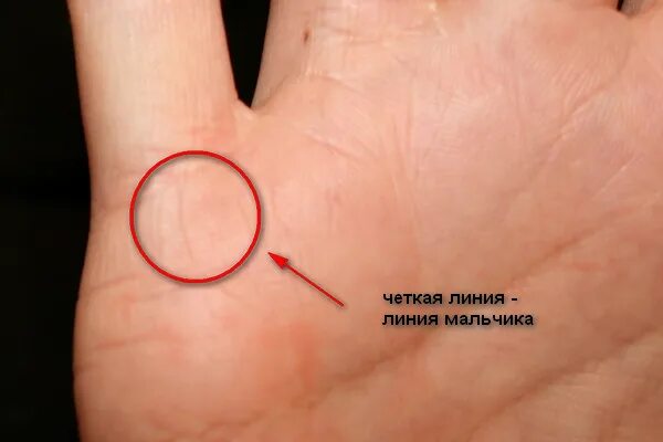 По линии руки онлайн по фото Линия детей на руке мужчины. Определение количества детей по линиям на ладони