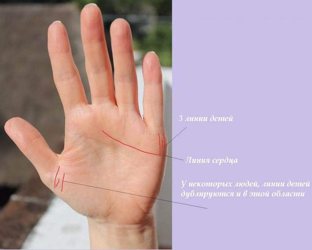 По линии руки онлайн по фото Как по руке понять сколько детей будет