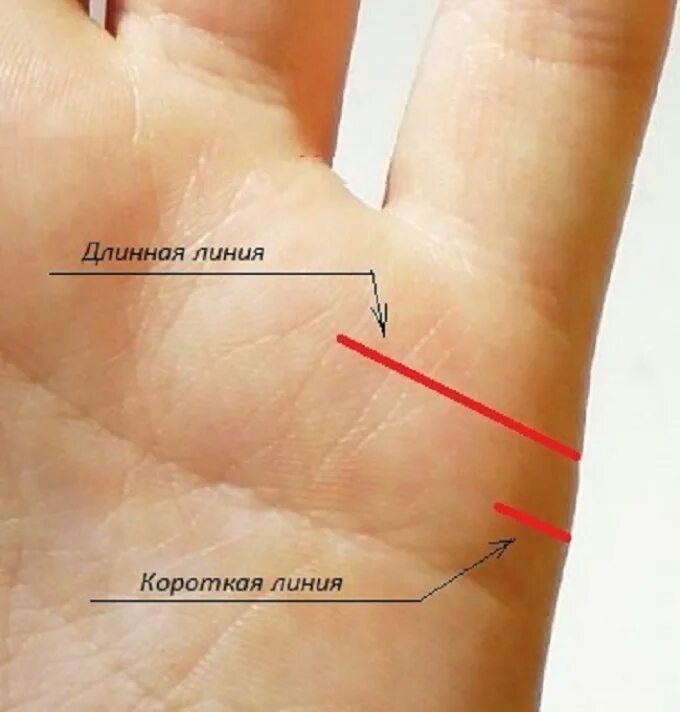 По линии руки онлайн по фото Линия брака на руке: что означает, на какой руке находится? Хиромантия - гадание