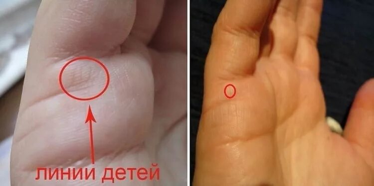 По линии руки онлайн по фото Как по руке определить количество браков и детей