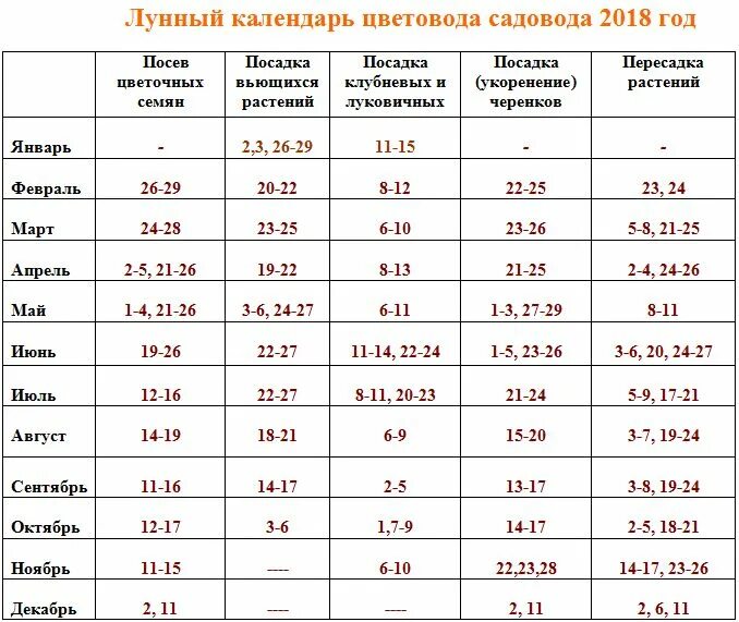 По лунному календарю можно пересаживать цветы лунный календарь цветовода садовода с благоприятными днями для посадки и пересад