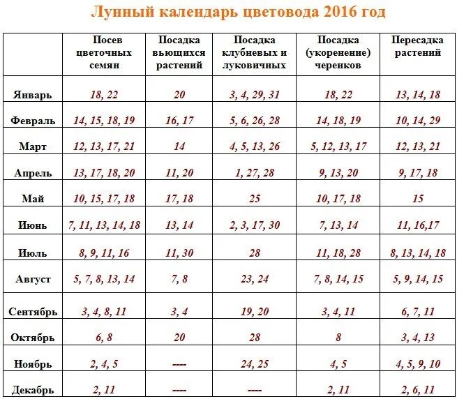 По лунному календарю можно пересаживать цветы Картинки КАЛЕНДАРЬ ПЕРЕСАДКИ РАСТЕНИЙ