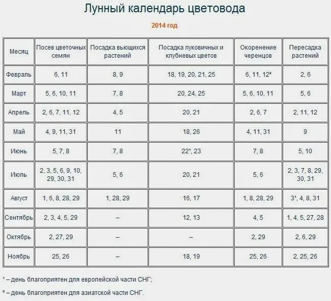 По лунному календарю можно пересаживать цветы Картинки БЛАГОПРИЯТНЫЕ ДНИ ДЛЯ ПЕРЕСАДКИ ЦВЕТОВ