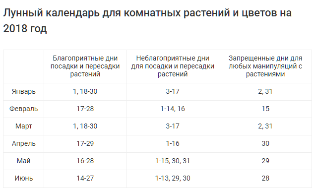 По лунному календарю можно пересаживать цветы Лучшие дни пересадка цветов